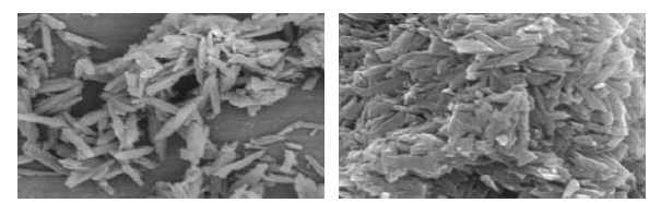 SEM을 이용한 Hemozoin의 표면 분석. (왼) 이전 문헌 상 Hemozoin SEM 촬영 사진 (M. D. Carter et al (2012)) (오) 본 연구 합성 Hemozoin SEM 촬영 사진