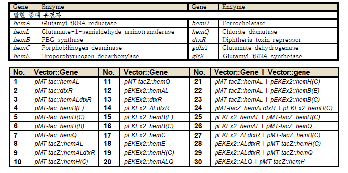 3차년도에 이용된 주요 유전자 목록 및 코리네박테리움 유래 균주 목록