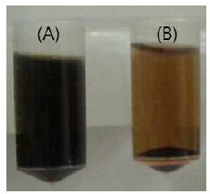 (좌). 중합전(A)과 중합후(B)의 Hemozoin