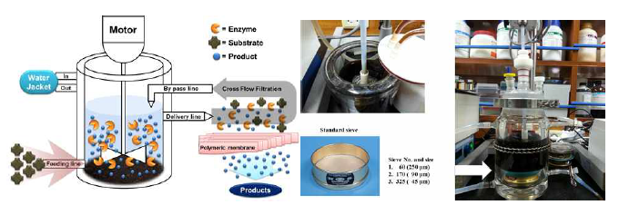 효소 재사용 중합반응 시스템을 이용한 Hemozoin 대량생산