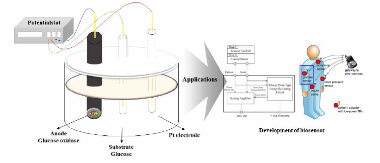 EFC(Enzymatic fuel cell) 시스템을 이용한 바이오센서 적용