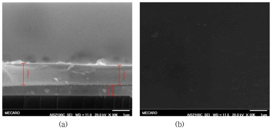 Mo coated soda-lime glass 위에 증착된 CVD-Na 박막 (a) 단면, (b) 표면