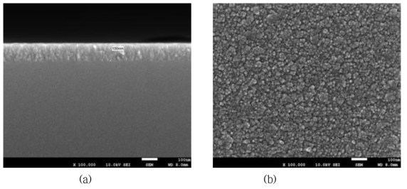 Glass 위에 CVD 방법으로 증착된 MgF2 박막의 SEM 이미지 (a) 단면, (b) 표면