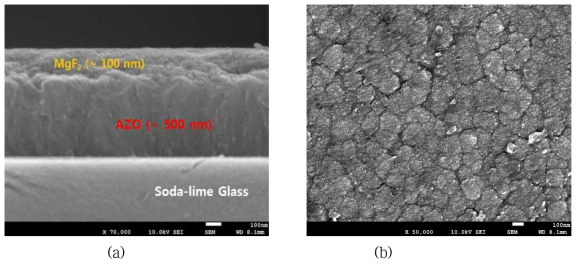 MgF2/AZO/Glass 구조의 SEM 이미지 (a) 단면, (b) 표면