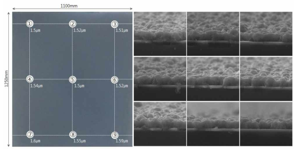 위치에 따른 CIS 박막의 두께 및 전자현미경 단면이미지