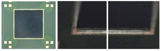 Laser TC bonding된 chip과 NCA fill된 image