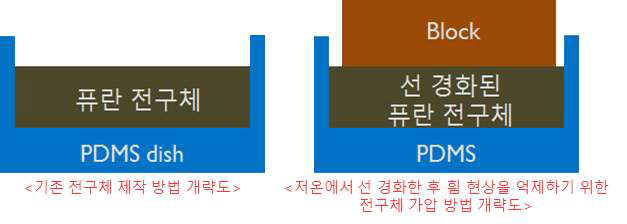 저온에서 선 경화한 후 휨 현상을 억제하기 위한 전구체 가압 개략도