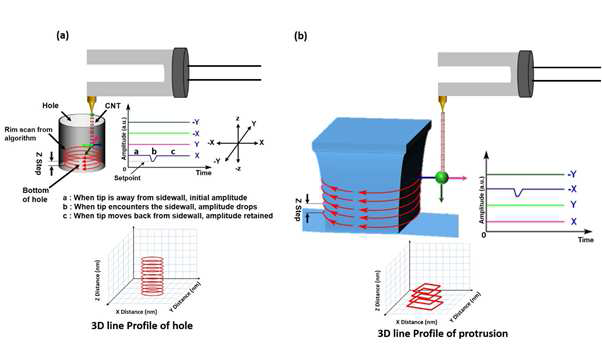 a) 팁이 구멍 내부에 있을 때, 팁은 Z 방향의 아래쪽으로 이동한 후, X축을 따라 측벽에 닿을 때까지 이동함. 그 다음 한 바퀴 회전을 완료할 때까지 측벽 가장자리를 따라 이동함. 그 후 Z 방향으로 올라가고 다음 높이에서 둘레를 회전하는 운동을 반복함. b) 돌출부의 경우도 유사한 절차가 사용되었고 그 유효성이 확인됨. 팁 위치의 저장된 값으로부터 3D 지형의 맵핑 이미지를 구성하게 됨
