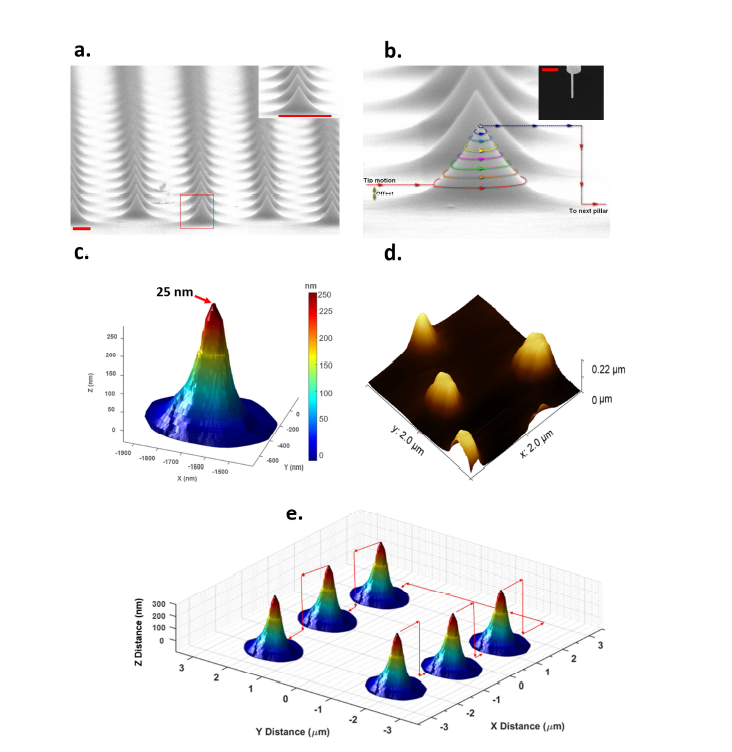 a) 실리콘 필러의 SEM 이미지를 보여줌. b) 그 위에 3D 스캔 궤적을 화 살표 선으로 보여줌. 스케일 바는 150nm임. c) XY 방향을 따라 19 nm, Z 방향을 따라 20 nm의 스텝의 3D 스캔으로 필러의 3D 이미지를 얻음. d) 래스터 스캔 모 드로 종래의 AFM에 의해 얻어진 topography임. e) 순차적인 필러의 스캔을 통해 실리콘 필러 배열의 3D 이미지를 얻음