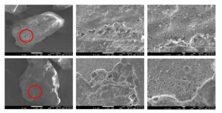 교반 세척 3차 재생사 SEM 분석 결과