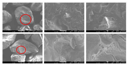 교반 세척+초음파 2차 재생사 SEM 분석 결과