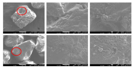 교반 세척+초음파 3차 재생사 SEM 분석 결과