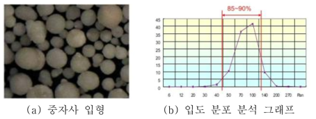 중자사 입형 및 입도 분포 분석그래프