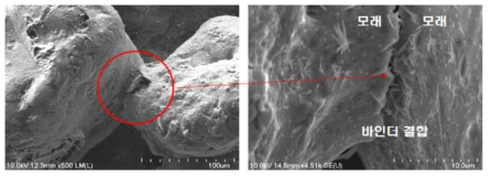 모래와 모래 사이의 바인더 결합 (SEM image)