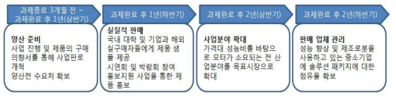 사업화 추진 전략 로드맵