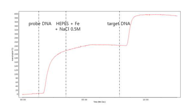 높은 염농도의 HEPES 버퍼 용액에 ferrocyanide을 첨가하여 검체 DNA의 결합 성능을 시험한 결과. 검체 DNA의 정상적인 결합을 급격한 질량 증가로 확인할 수 있으며, 실험하는 동안 금의 손실이 발생하지 않음