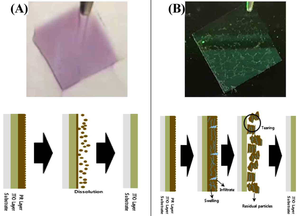 Chemical mechanism model of PR stripping by organic stripper (A) and aqueous stripper (B) and the photograp