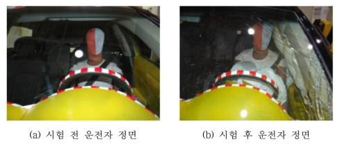 인체상해 안정성 평가 – 더미 구성