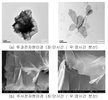 산화 그래핀(Graphene Oxide) 미세형상