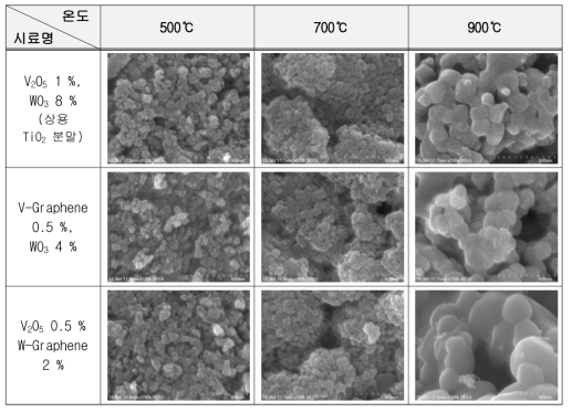 탄소나노복합체 TiO2 분말 소성 온도에 따른 미세구조 형상