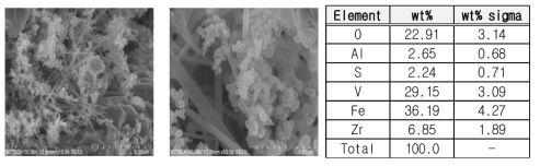 PM 표면 분석 이미지 및 EDX 분석결과