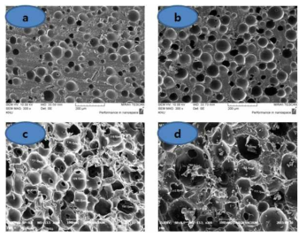 기공 형성 소재(친수성 Polyvinyl계 고분자) 함량에 따른 Polishing Pad 단면 SEM 사진: (a)10wt.%, (b)20wt.%, (c)30wt.%, (d)40wt.%
