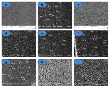 친수성 Polyvinyl계 고분자 종류에 따른 Polishing Pad의 단면 SEM 사진: (a)HMC-01, (b)HMC-02, (c)HMC-03, (d)HMC-04, (e)HMC-05, (f)HMC-06, (g)HMC-07, (h)HMC-08, (i)HMC-09