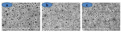 기공 형성 소재의 혼합 시간에 따른 Polishing Pad의 단면 SEM 사진: (a)1min 혼합, (b)3min 혼합, (c)5min 혼합