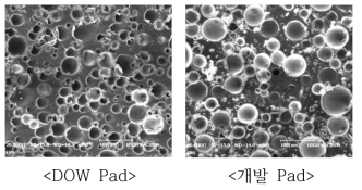 선진社 & 친수성 소재 d를 적용하여 제조한 Polishing Pad의 단면 SEM 사진