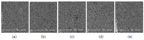 Polishing Pad의 단면 SEM 사진: (a)이종 Isocyanate가 첨가되지 않은 Pad, (b)Modified MDI 첨가 Pad, (c)Polymeric MDI 첨가 Pad, (d)XDI 첨가 Pad, (e)IPDI 첨가 Pad