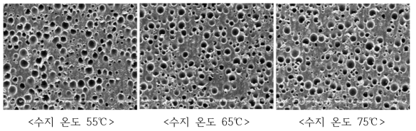 수지 온도를 변경하여 제조한 Polishing Pad의 단면 SEM Image