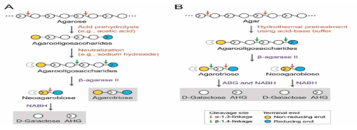 기존의 아세트산 전처리 및 효소당화공정(A) 및 중성버퍼를 이용한 전처리 및 효소당화 공정(B) 모식도(본 연구진 선행연구결과: Lee, CH et al. Process Biochemistry 50 (2015) 1629-1633)