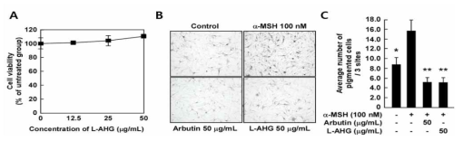 한천당의 세포 내 멜라닌 생성 저해 효능 평가 (Human melanocytes)