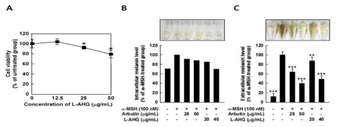 한천당의 세포 내 멜라닌 생성 저해 효능 평가 (B16F10 melanoma cell)