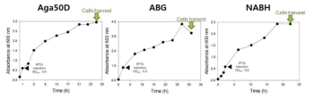 3가지 효소 Aga50D, ABG, NABH 유전 정보를 가진 재조합 균주 E. coli BL21(DE3)의 50 L 발효 프로파일