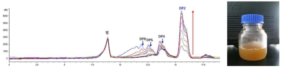 한천 전처리 후 생성된 올리고당과 DP2 HPLC 분석 결과 (좌) 및 전처리 당화액 (우)