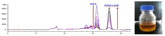 아가로바이오즈 분해효소 반응 후 생성된 AHG와 galactose HPLC 분석 결과 (좌) 및 효소 당화액(우)