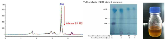 효모 배양 후 제거된 Galactose와 정제된 AHG 분석 결과 및 AHG정제액 (좌 : HPLC 분석, 중 : TLC 분석, 우 : AHG 정제액)