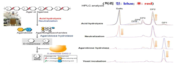 인산 처리를 통한 한천 당화공정 모식도와 HPLC를 통한 공정별 생산물 프로파일