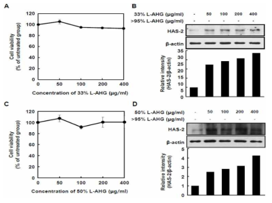 한천 분해 혼합물의 HAS-2 발현 촉진 효능