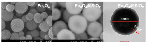 마그네틱 코어와 실리카가 코팅된 마그네틱 코어의 SEM과 TEM 사진