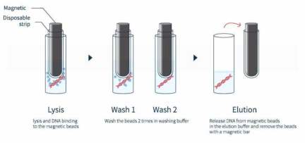 추출 자동화 장비에 개발된 DNA/RNA Extraction Kit를 적용한 DNA/RNA 추출 과정