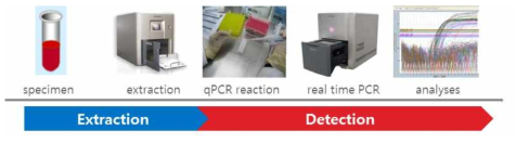 분자 진단 검사 과정