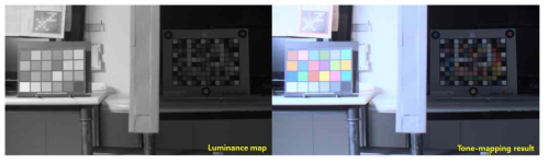 Luminance map(왼쪽)과 Tone-mapping 결과(오른쪽)