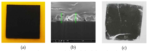 스프레이 코팅된 팔라듐 나노선 (a)광학이미지, (b) SEM 이미지, (c)테이프 테스트 결과