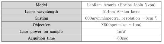 라만 분광기 사양