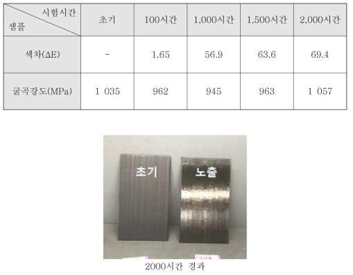 시편 외관 변화