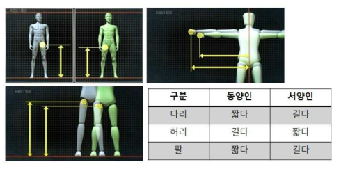 동양인과 서양인의 비교 그래픽