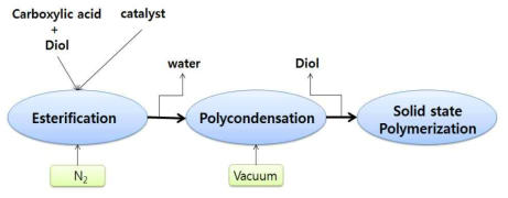 폴리에스테르의 제조과정