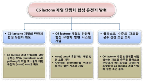 아주대 1차년도 개발 내용